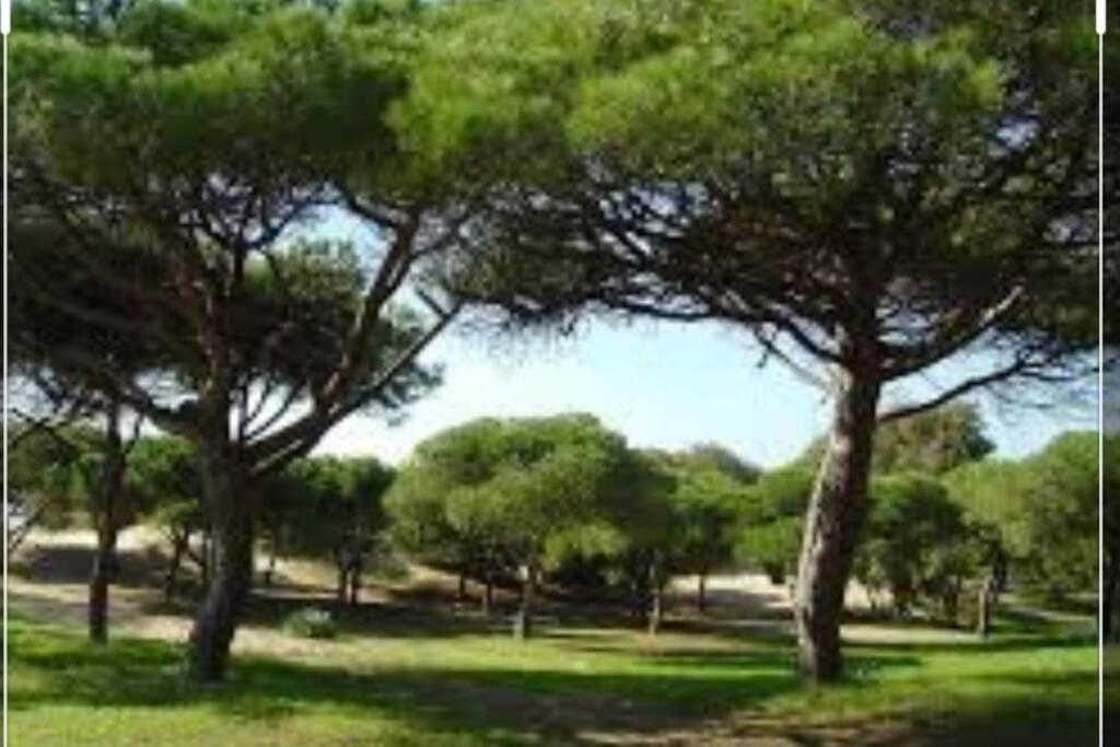 Ferienwohnung Acogedor Apartamento A 100 M. De Pinares Y Playa Rota Exterior foto