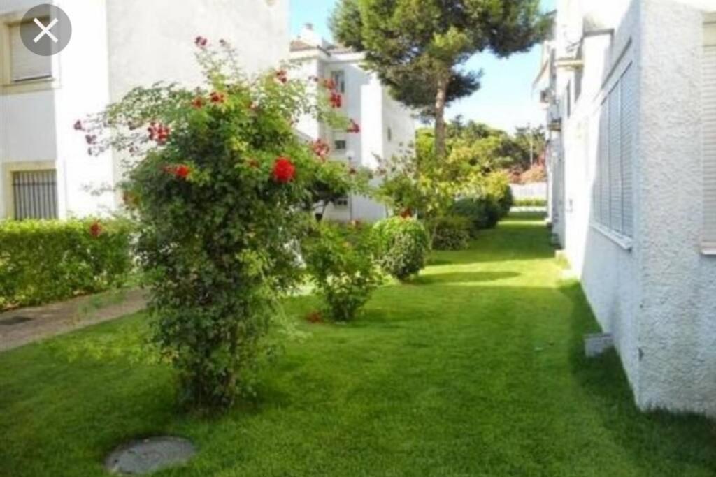 Ferienwohnung Acogedor Apartamento A 100 M. De Pinares Y Playa Rota Exterior foto