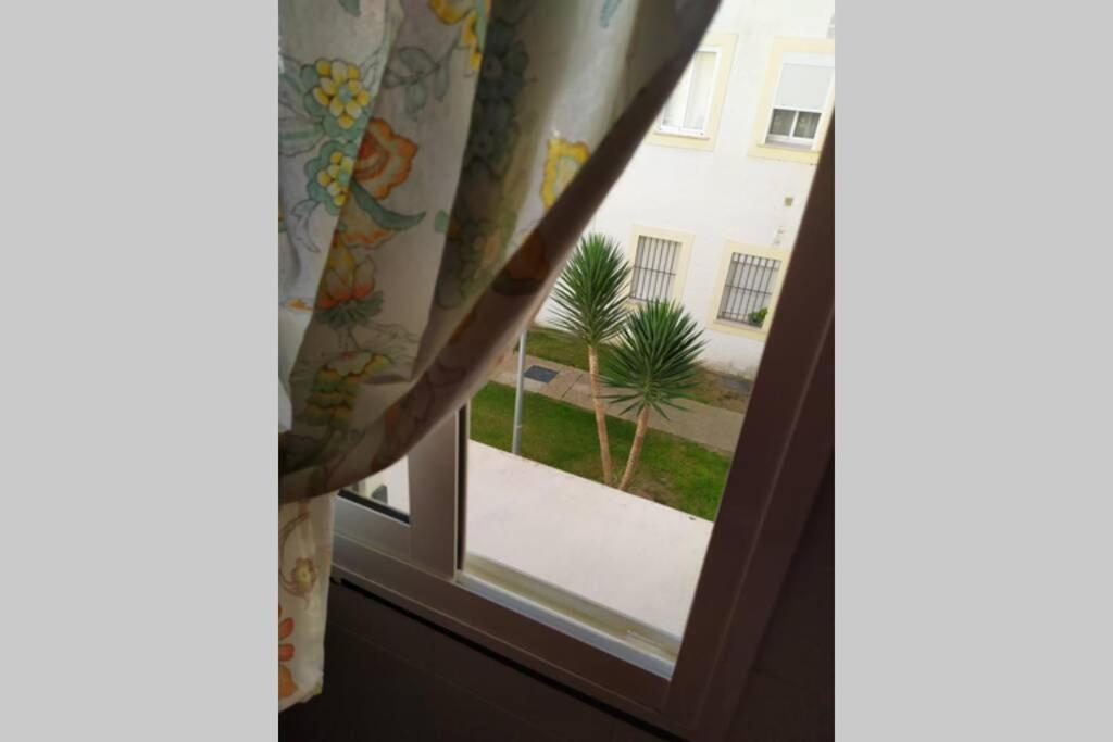 Ferienwohnung Acogedor Apartamento A 100 M. De Pinares Y Playa Rota Exterior foto