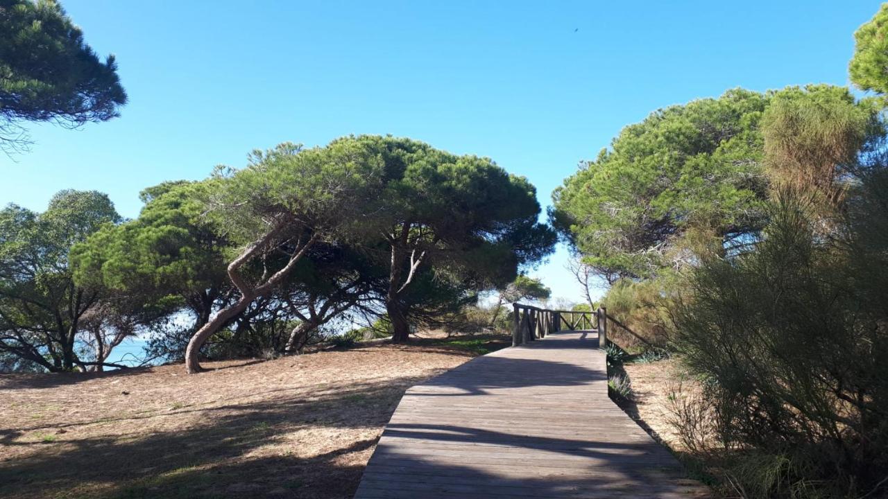 Ferienwohnung Acogedor Apartamento A 100 M. De Pinares Y Playa Rota Exterior foto