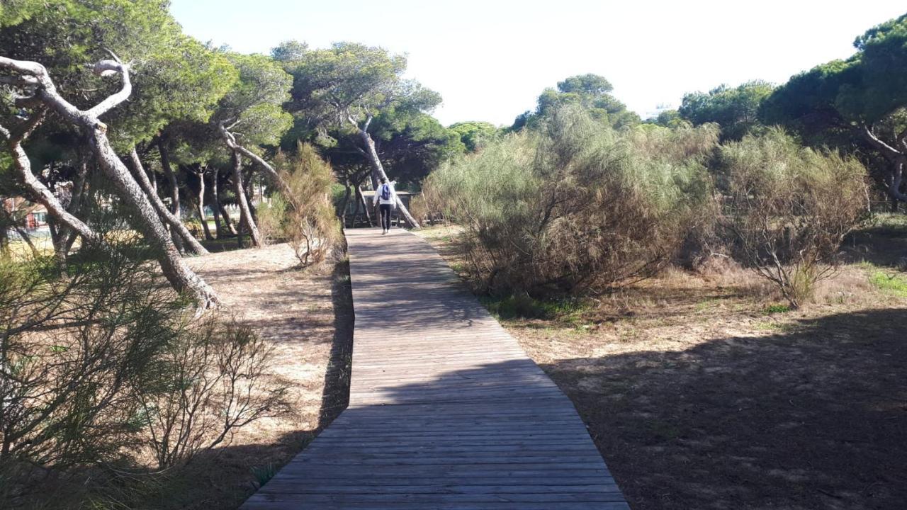 Ferienwohnung Acogedor Apartamento A 100 M. De Pinares Y Playa Rota Exterior foto